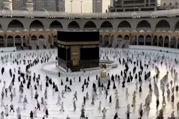 Helpline numbers released after Indian pilgrims killed in Saudi bus crash: Owaisi requests govt to bring back bodies - What we know so far | India News - The Times of India