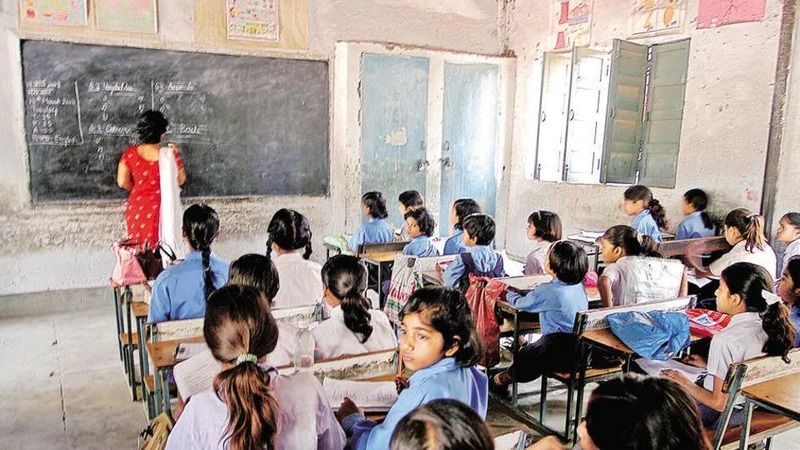 396603 primary teacher students