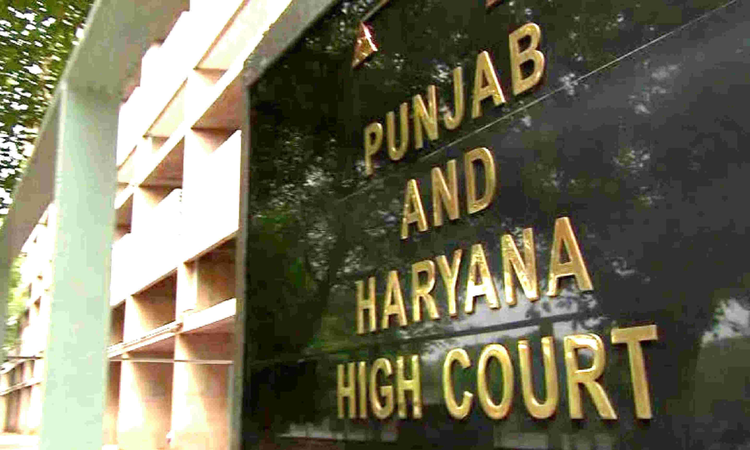 1131820 punjab and haryana high court 7 scaled