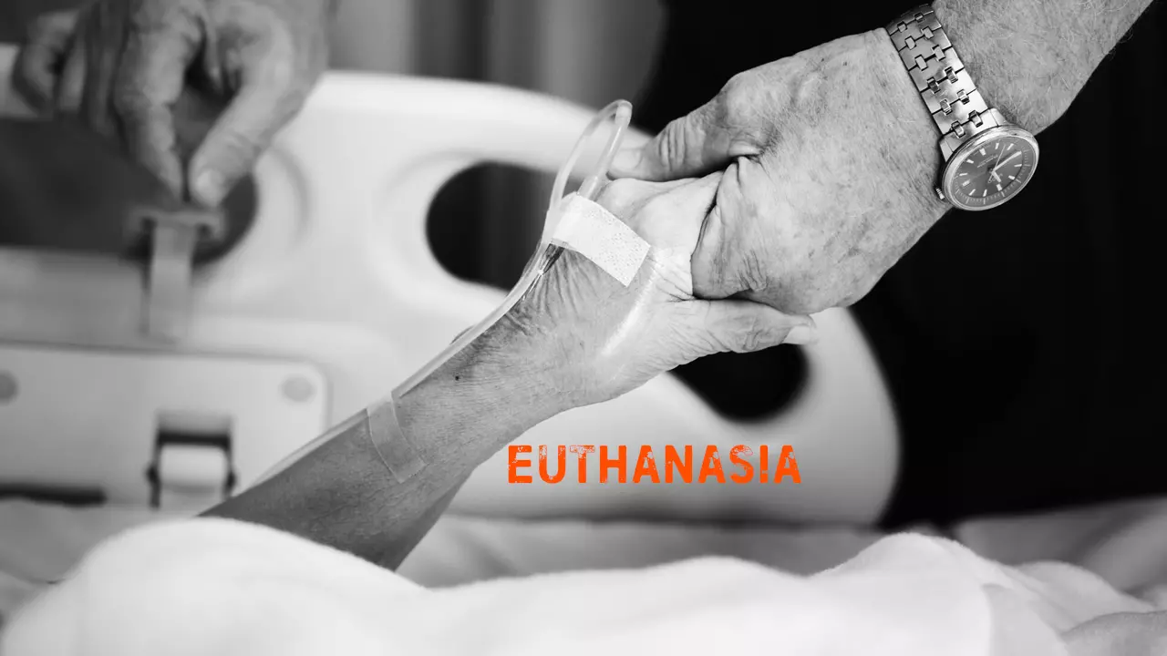 552792 euthanasia.webp