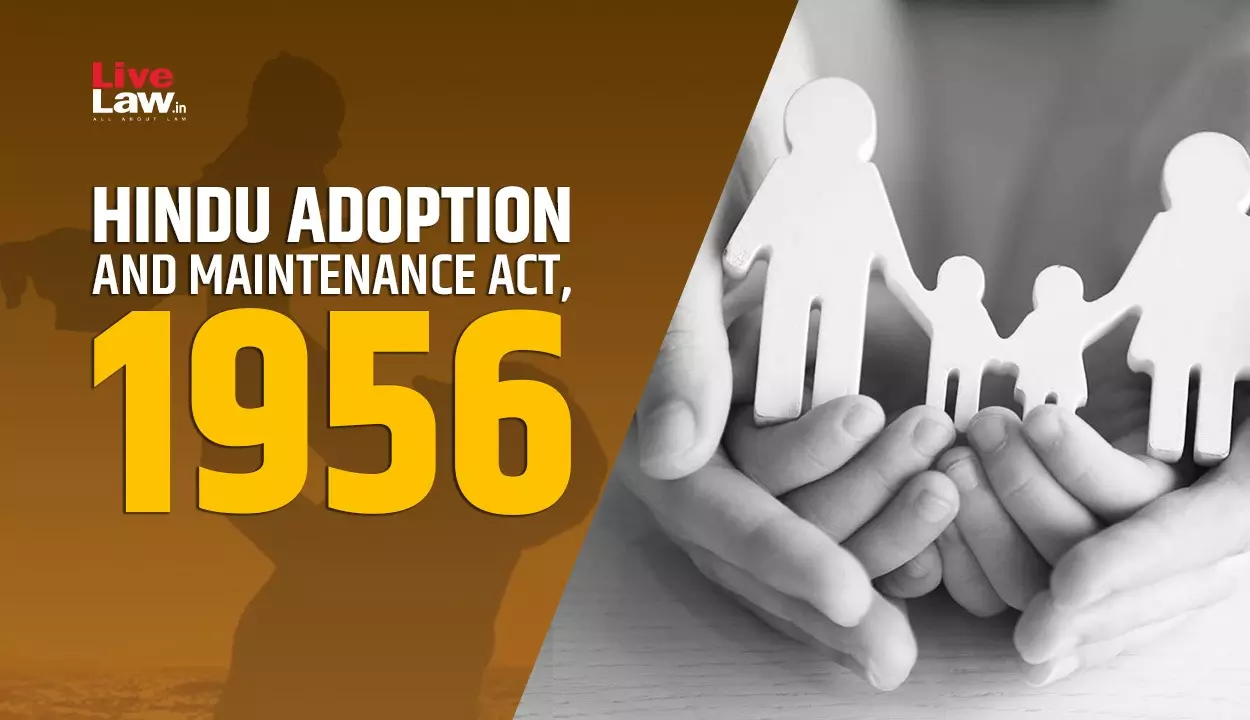 595136 hama adoption.webp