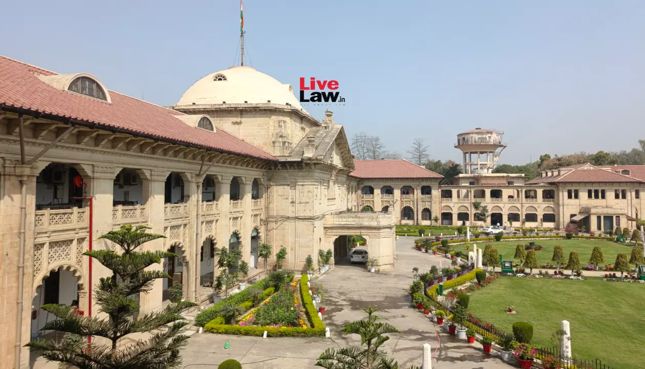603178 allahabad high court 3.webp