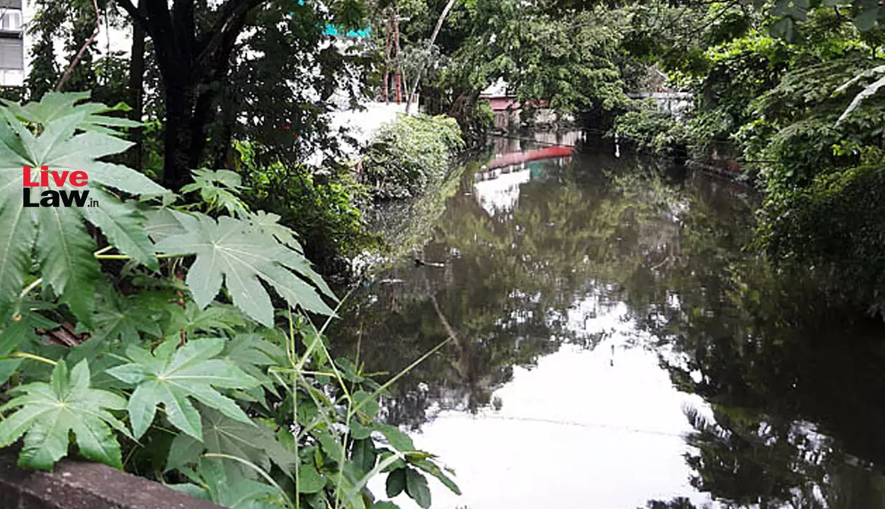 606059 thevara perandoor canal.webp