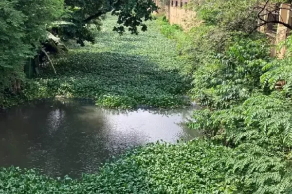 AP High Court Calls For Law Penalising Govt Officials Who ‘Turn Blind Eye’ To Encroachment Of Water Bodies, Drains AP High Court Calls For Law Penalising Govt Officials Who 'Turn Blind Eye' To Encroachment Of Water Bodies, Drains