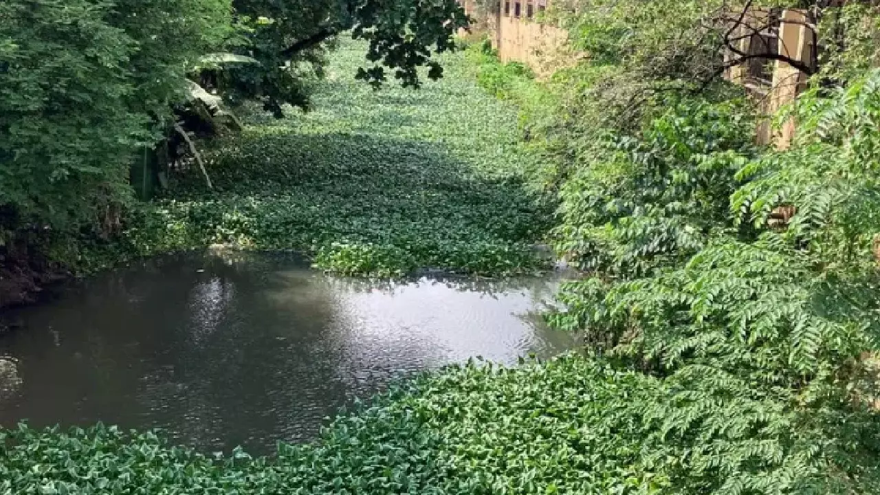 AP High Court Calls For Law Penalising Govt Officials Who 'Turn Blind Eye' To Encroachment Of Water Bodies, Drains