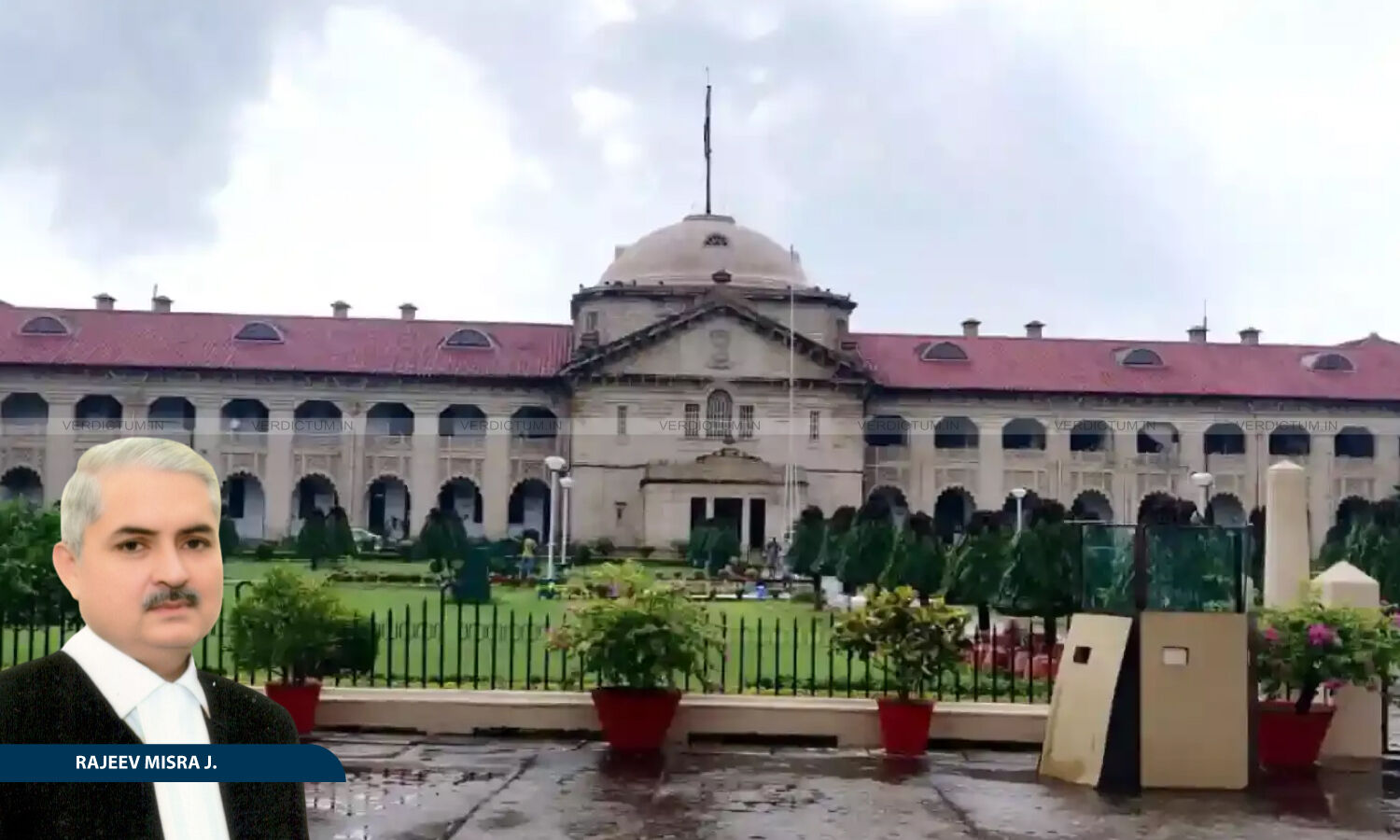 Allahabad High Court Grants Bail