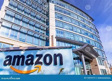 Delhi High Court Stays Ruling Asking Amazon To Pay ₹339.25 Crore To 'Beverly Hills Polo Club' Over Trademark Infringement