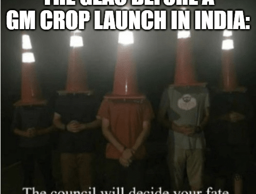 Comments and Caveats on the GEAC’s Punjab GM Crop Trials – SpicyIP