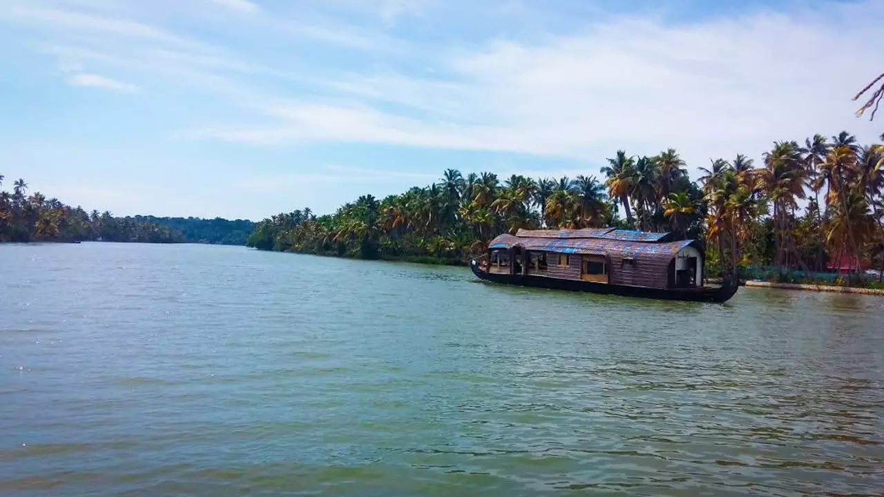 Kerala High Court Directs Formation Of Management Unit, Public Feedback Mechanism For Conservation Of Ashtamudi Wetland