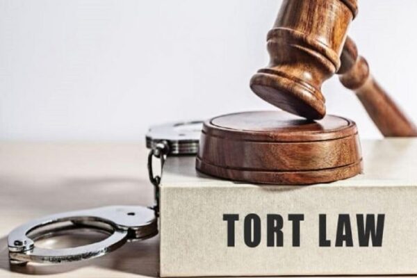 Legal causation: proximate cause and remoteness in tort law