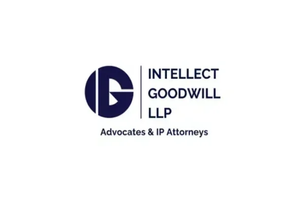 INTELLECT GOODWILL LLP