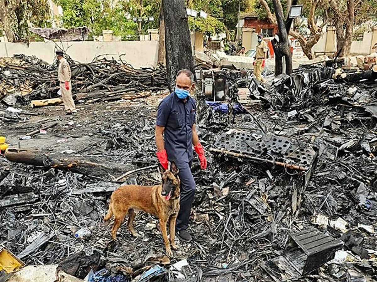 UK families await update on DNA-matched remains of Air India plane crash victims